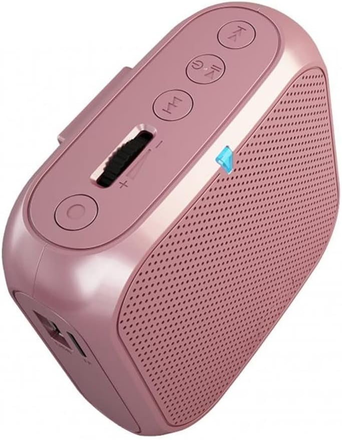 Portable Wired Microphone Voice Amplifier Audio Speaker Teaching Lecture Training Loudspeaker