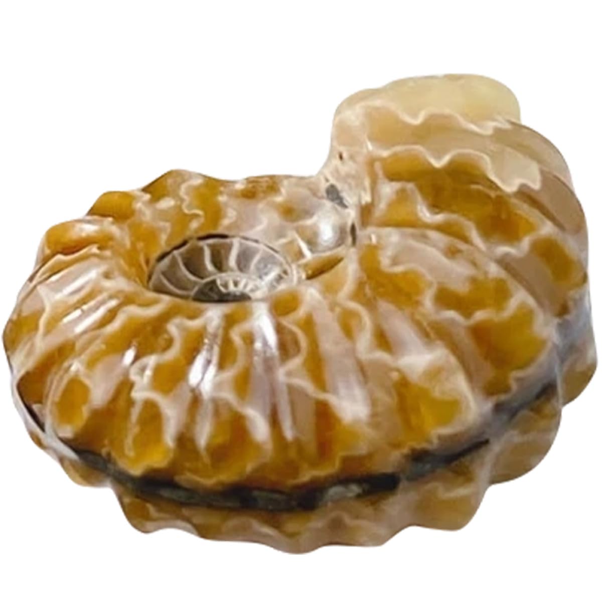 Adorno de piedra en forma de caracola artesanal NESTINGHO