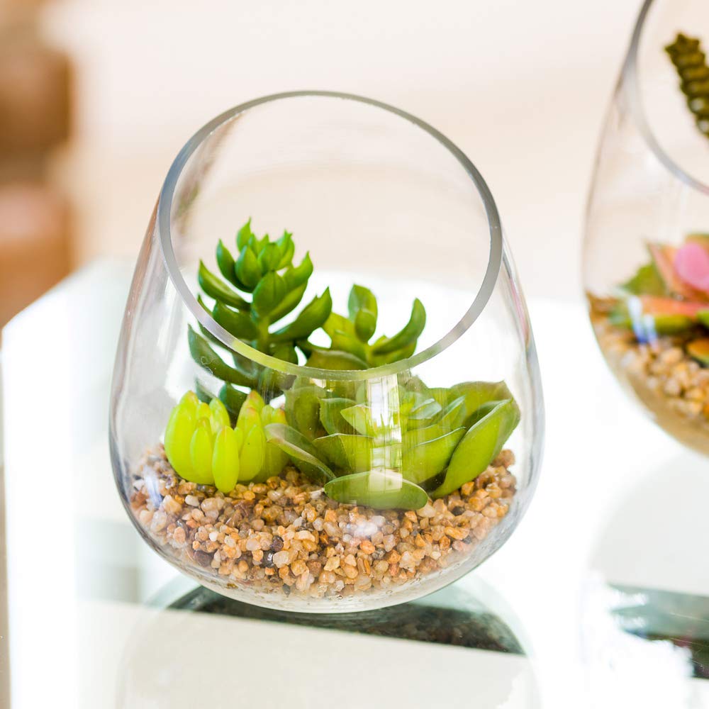 Amazon.com: Restaurantware-4.7 x 5 Inch Faux Succulent, 1 Artificial  Succulent - In Incline Edge Glass Terrarium, Use As Table Or Shelf Decor,  Centerpiece, Plastic Fake Desk Plant, For Homes Or Weddings :
