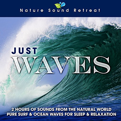 Just Waves: 2 Hours of Sounds from the Natural World (Pure Surf & Ocean Waves for Sleep & Relaxation)