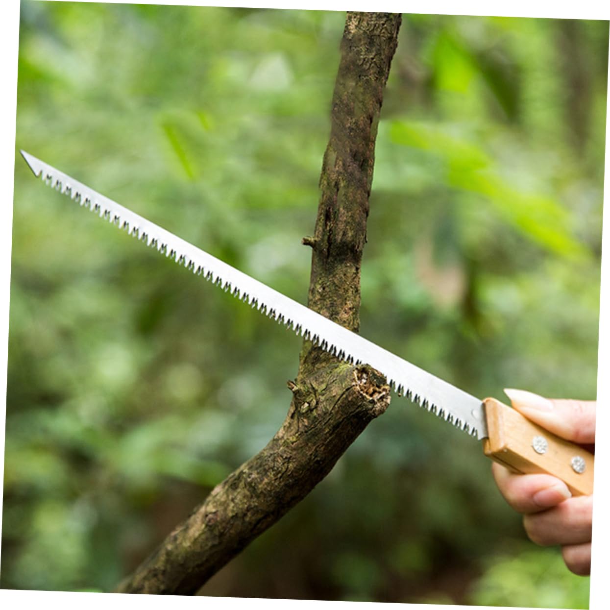 GALPADA 3 Set Da Potatura Per Giardino A Trazione Da Campeggio Portatile Portatile A Mano A Mano Per Alberi A Mano Per Artigiani Del 2 pezzi*3