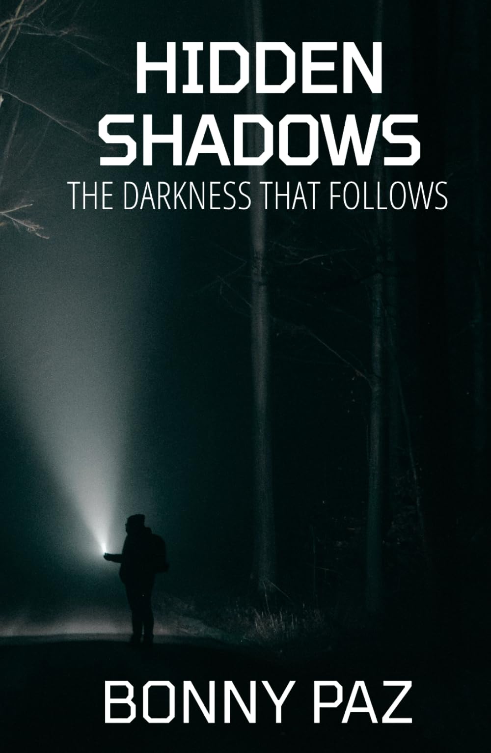 Hidden Shadows: The Darkness That Follows (The Hidden Duology)
