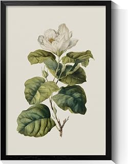 Ivory Flowers Canvas Wall Art, Rustic Antique Floral Nursery Poster, Vintage Natural Green Botanical Print Painting, Modern Nature Plant Baby Room Bedroom Wall Decor 12x16in Black Framed