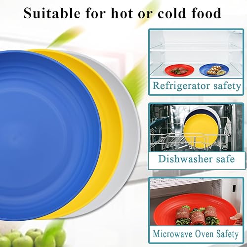 Miniatura 5 de Berglander Juego de 12 platos de plástico de 9 pulgadas, reutilizables y resistentes, irrompibles, platos para ensalada, cuencos para pasta, platos