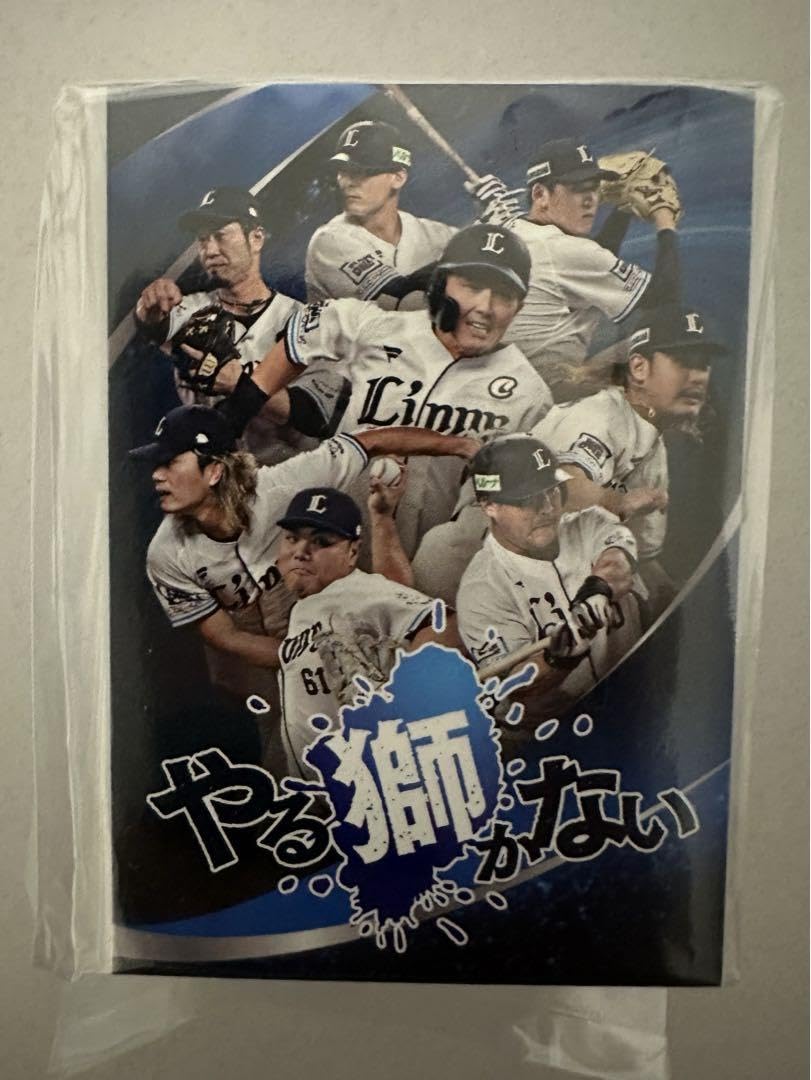 オマケあり☆未使用☆埼玉西武ライオンズ☆ファンクラブ☆球場配布☆グッズ☆セット Amazon.co.jp: 2024埼玉西武ライオンズ 全選手カードセット FC