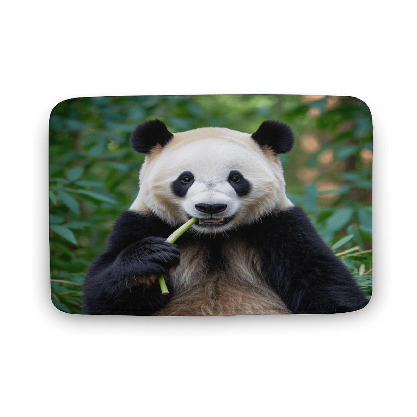 Alfombras de baño súper absorbentes con diseño de panda y textura ultra suave de ducha