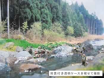 61v4aF7Ot6L._AC_UF350,