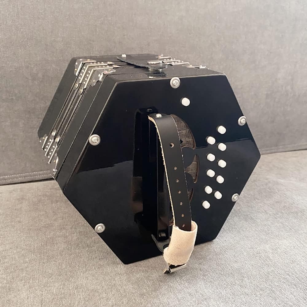 20ボタンのコンサーティーナアコーディオン、魅力的な柔らかな音