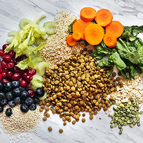 V-dog Vegan Mini Kibble Dog Food - Image 5