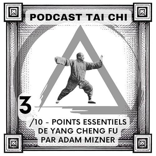 3/10 &ndash; Points essentiels Yang Cheng Fu par Adam Mizner