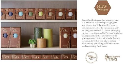 Miniatura 6 de Vela de pilar con fragancia de línea de árboles, de Root Candels