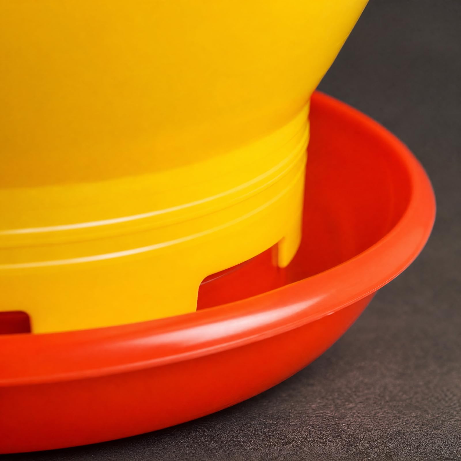 Mangiatoia con Vassoio Circolare e Coperchio Pratico Distributore di Mangime Automatico Pratica per Pollaio, Cortile Domestico, Rosso