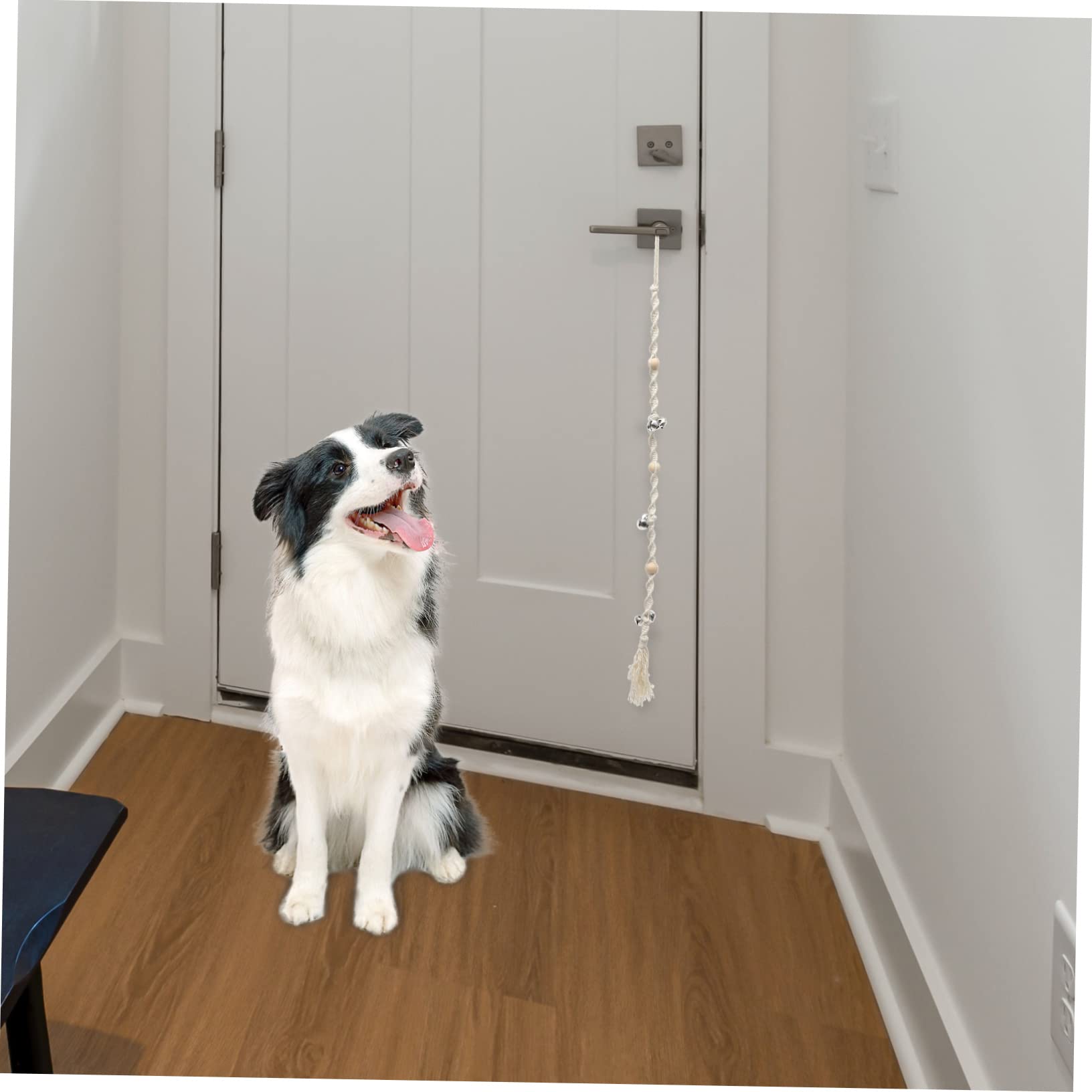 INOOMP 5 Piezas Timbre Colgante para Mascotas Campana saliente Silbato para Perros Regalos Originales Regalo Original Timbre para Resistente al Desgaste Accesorio para Perros