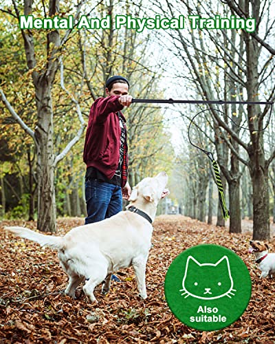 JOFLVA Flirtstock für Hunde, Teaser-Hund, ausziehbarer Teaserstab, interaktives Outdoor-Spielzeug, für kleine mittelgroße Hunde, Training, Spielübung.