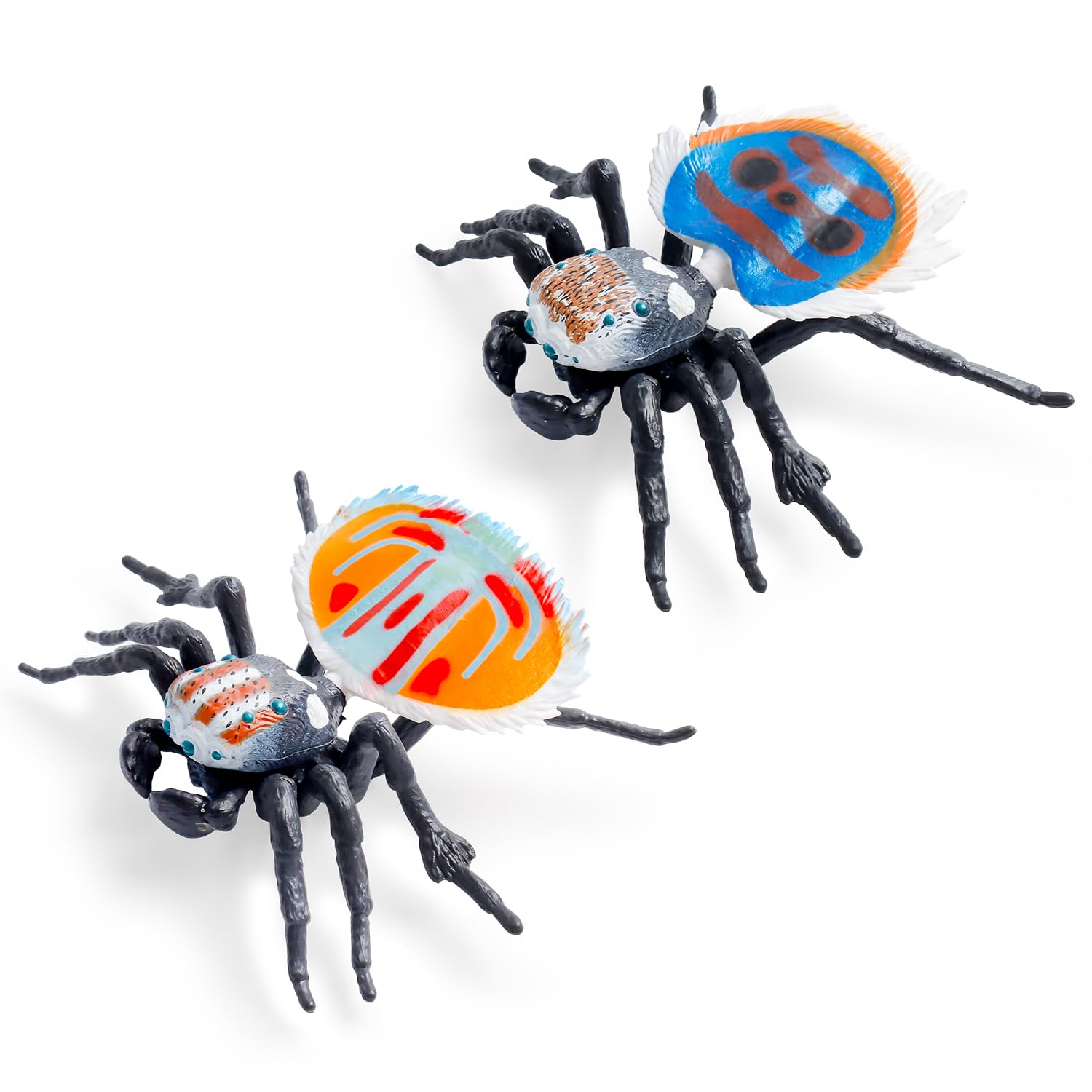 Amazon.co.jp: Aydinids リアルなクモ 模造クモの置物 クジャク