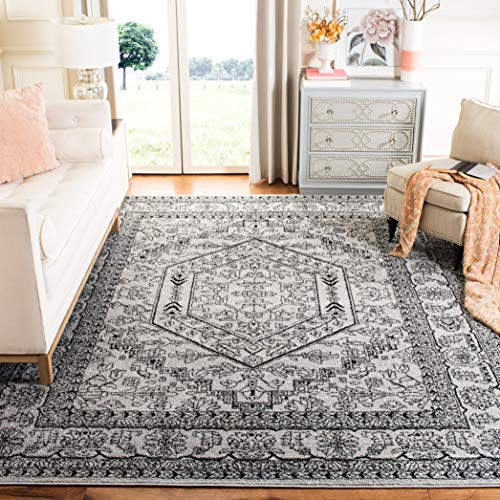 SAFAVIEH Adirondack Collection Area Rug - 9' x 12', Silver & Black, Oriental Medallion Design, Non-Shedding & Easy Care, Ideal for High Traffic Areas in Living Room, Bedroom (ADR108A)
