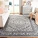 Safavieh Adirondack Collection ADR108A Silver and Black Oriental Vintage Area Rug (9' x 12')
