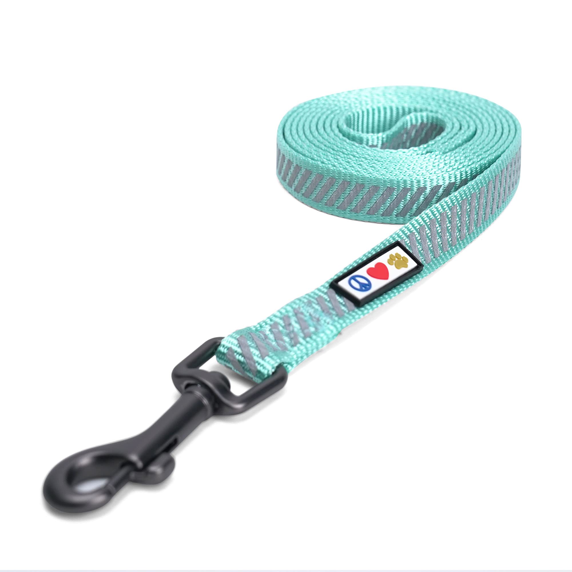 Pawtitas Pet Comfortable Heavy Duty Reflective Dog Training Leash - 6 Foot Teal