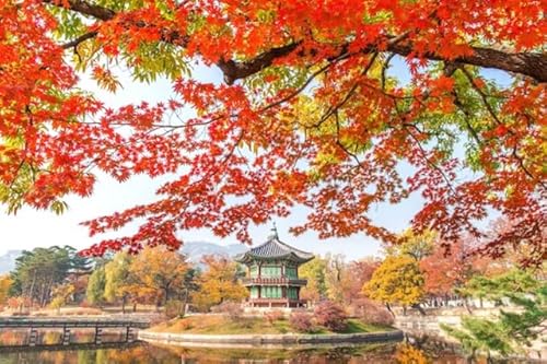 なまけ者雑貨屋 大人のパズル1000ピース 韓国慶尚北宮 秋の木の葉風景パズル 独特の頭の回転、困難と挑戦の大パズル