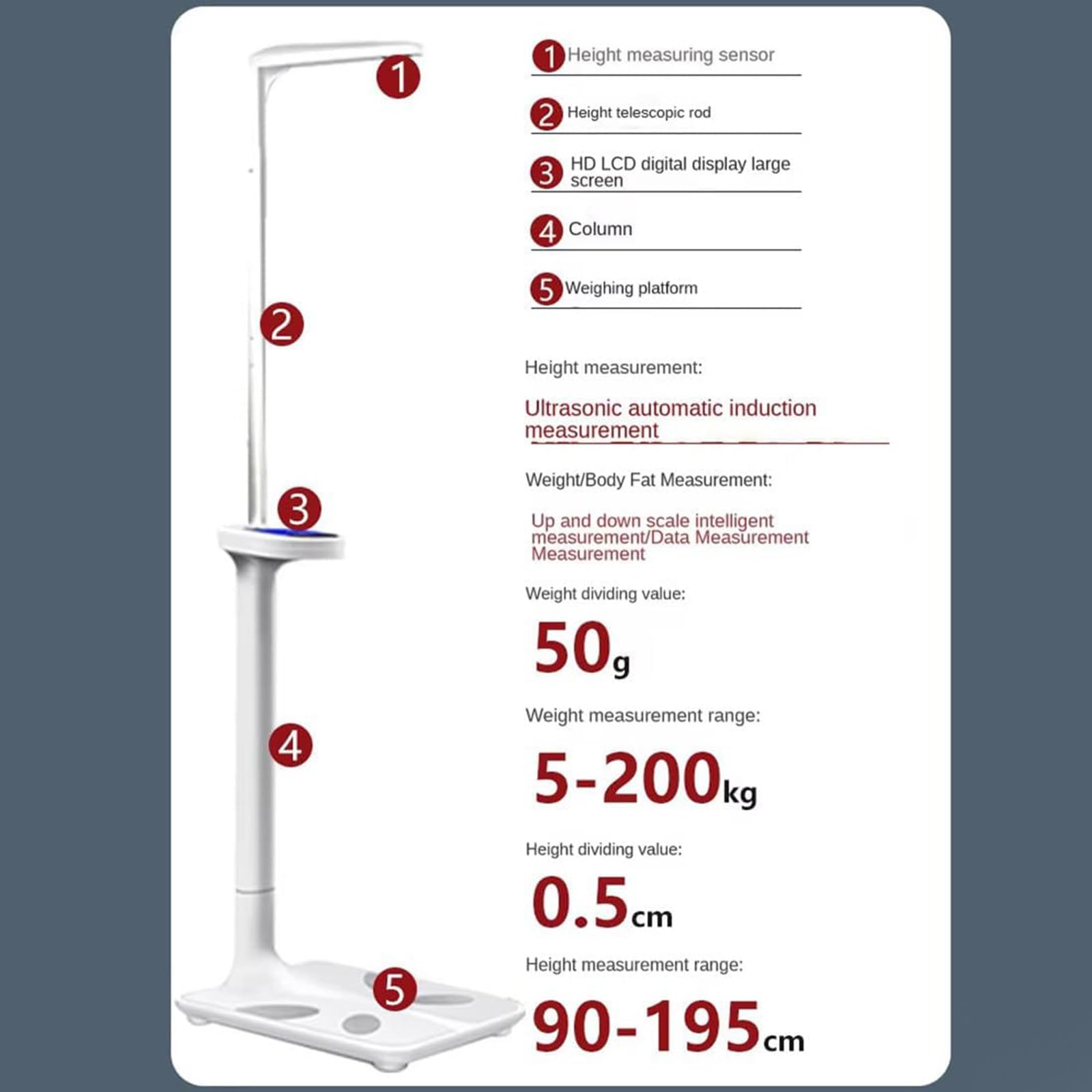 Ult-rasonic cyfrowa waga medyczna z wyświetlaczem LCD profesjonalny analizator tkanki tłuszczowej waga do pomiaru masy ciała, wzrostu i BMI 5–200 kg
