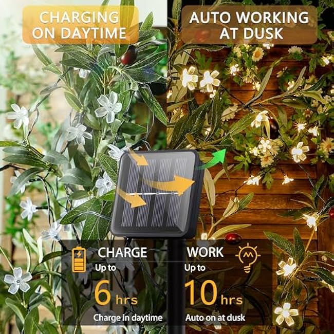 Solar Flower String Lights,2PACK 50 LED Solar Fairy Light Outdoor Waterproof,Cherry Blossoms String Lights for Fence Patio Yard Christmas Tree,Lawn,Patio,Garden Decoration(Warm White)