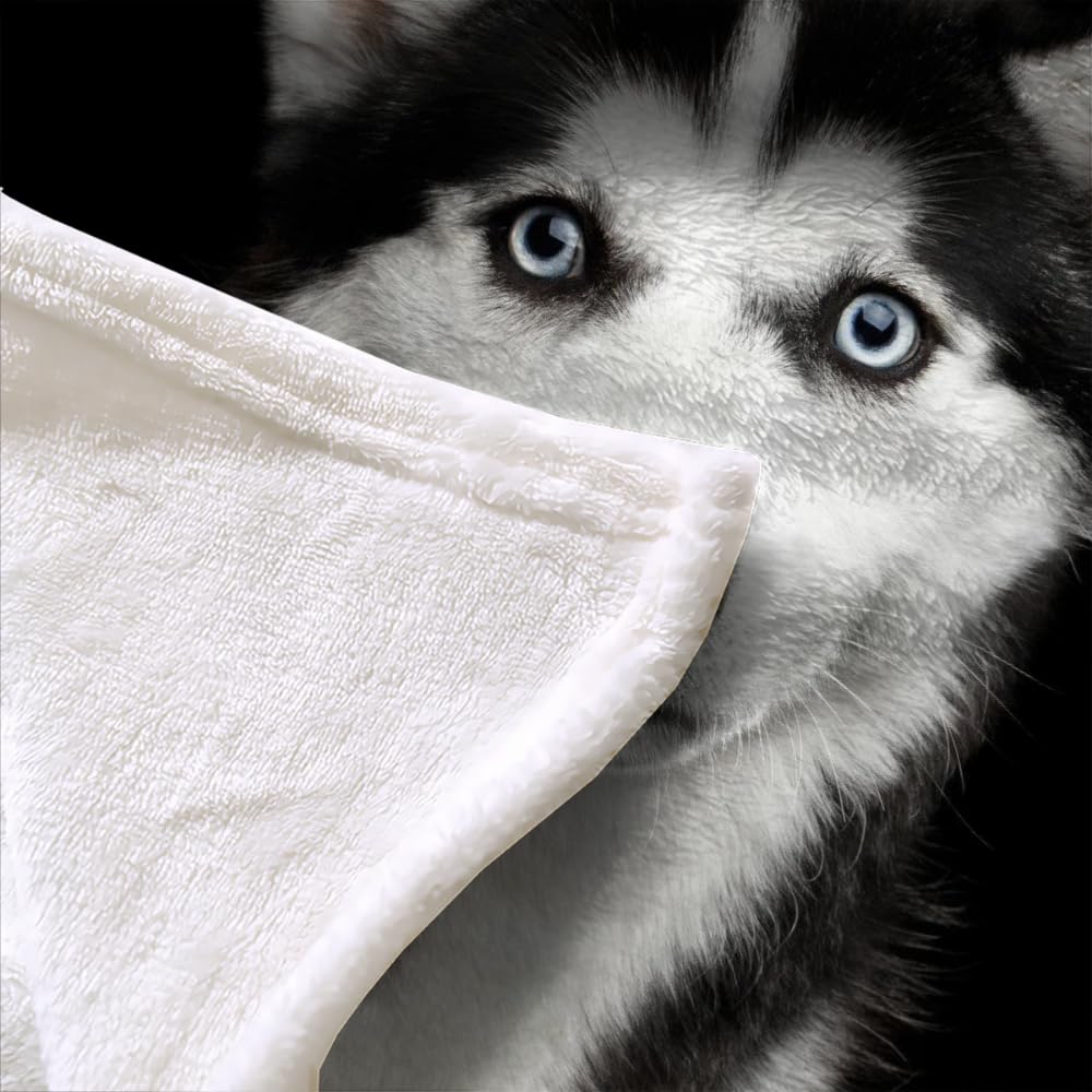 Douce Flanelle Couverture Polaire 3D Chien Husky Microfibre Fluffy Couverture de literie 2 Personne Chien Animal Compagnie Enfant Adultes Fille Garcon Sherpa Couverture de canapé 150x200cm