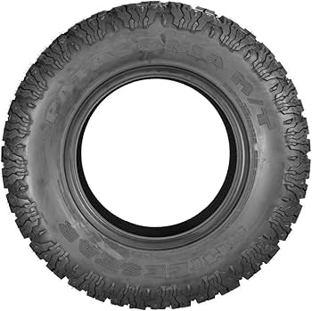 Amazon.com: Milestar Patagonia M/T LT33X12.50R22 114Q : Everything