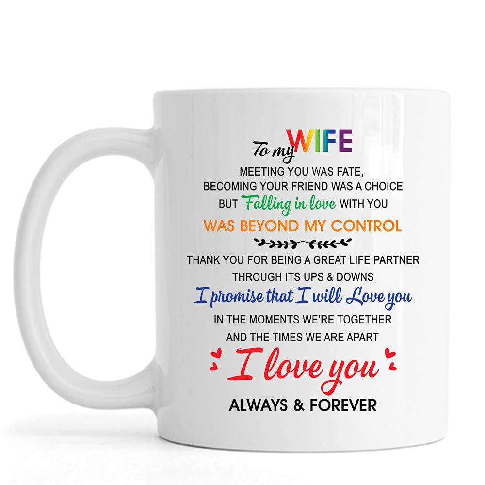 SNV to My Wife Meeting You was Fate Mug - Pride Month Coffee Mug LGBTQ Flag Gifts for Gay Lesbian Couple Boyfriend Girlfriend Son Daughter - Coffee Mug White 11 OZ