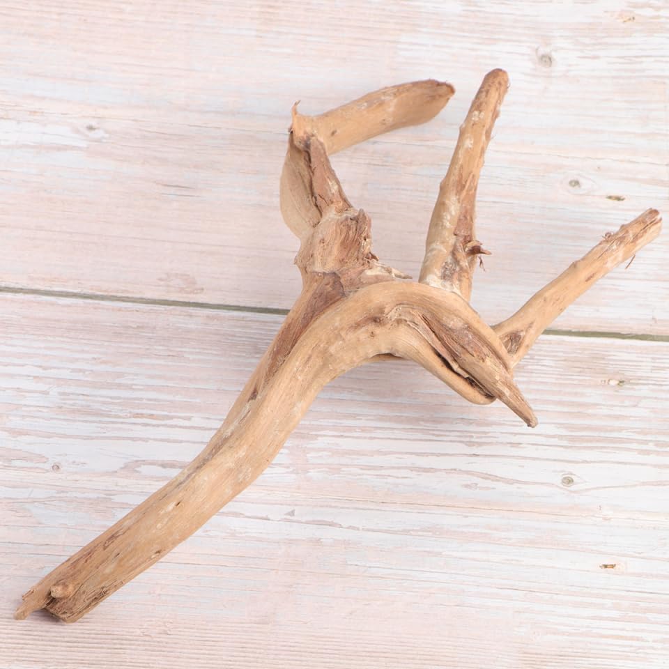 Décoration D'aquarium en Branche Naturelle 30-35 Cm pour Aquarium d'eau Douce Ancrage de Mousse Ph, pour Aquarium de Poissons Plusieurs Styles