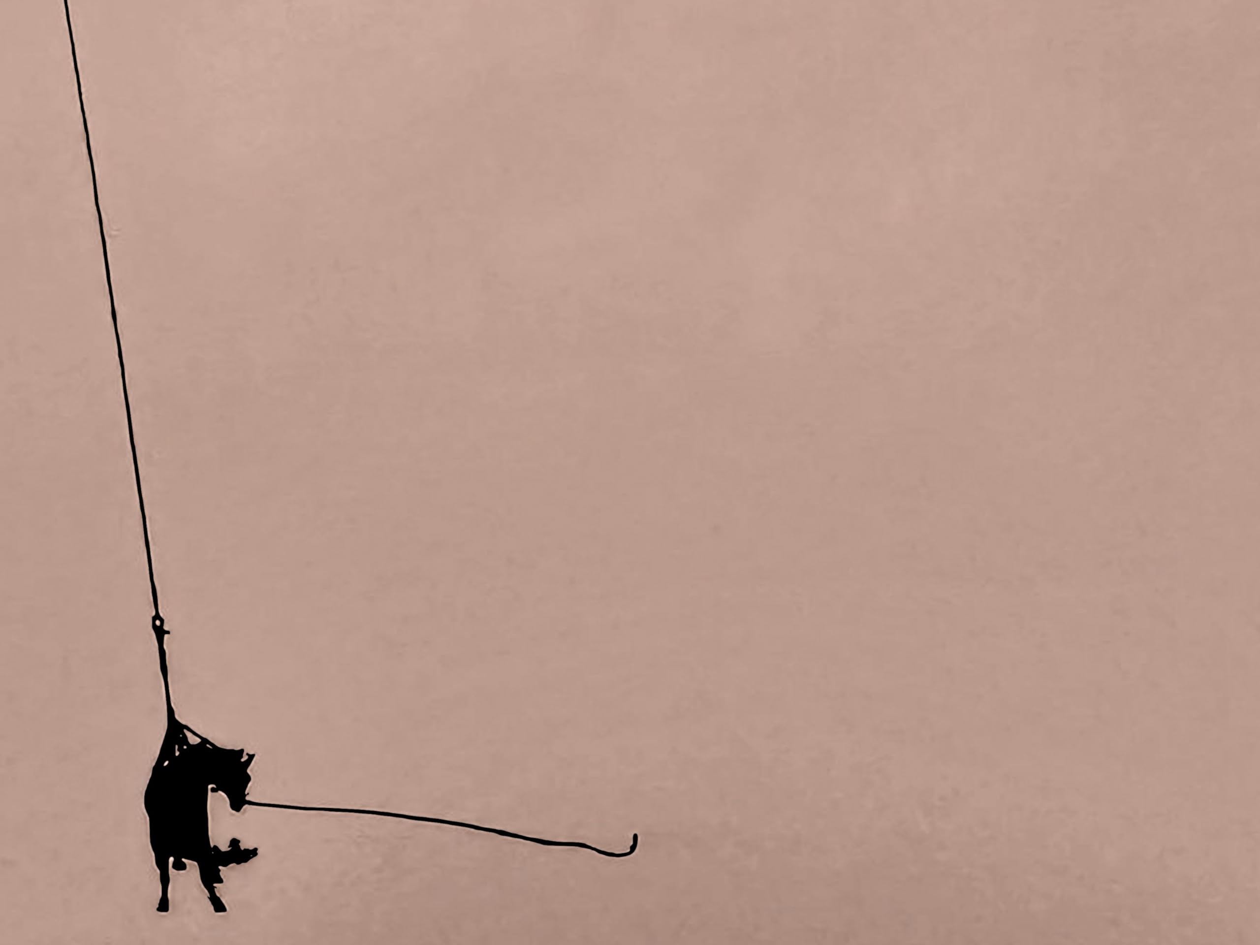 The Gardener & The Tree