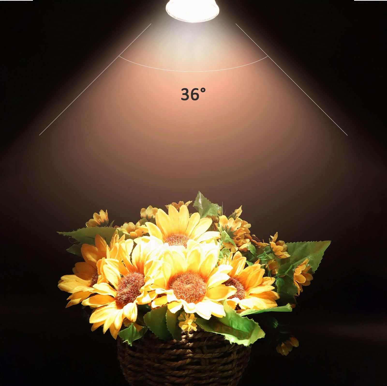 Caldarax Paquete de 8 Bombilla Halógena Reflectora GU5.3 12V 50W, Regulable Halógena Dicroica, 2700K Blanco Cálido, 660lm, Reflector Halógeno GU5.3 Foco, 36° Ángulo de Haz
