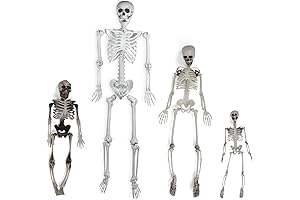 Realistic Halloween Skeleton Decoration with Moveable Joints