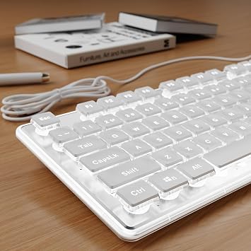 SEUNKWANG Wired Backlit Keyboard with Pudding Keycaps, Quiet Full Size Computer Keyboard White Backlight Easy-to-Read, Never Fade, Metal Panel, USB Cute Desk Setup for Windows PC Desktop, White