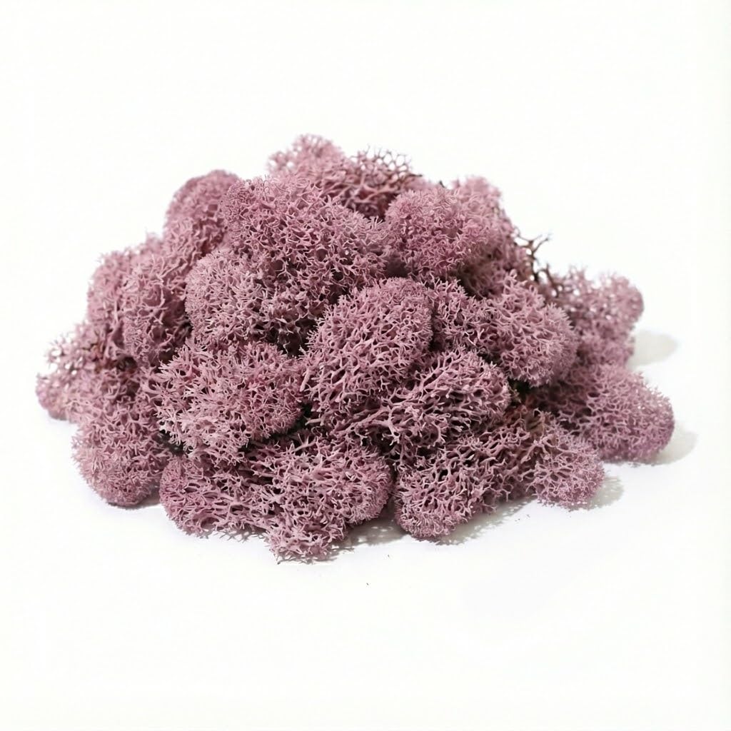 floral supplies Stabilised Reindeer Moss – Preserved Lichen for Model Scenery, Railway Landscapes, Terrariums, Floristry & Art Crafts – Soft Texture & Maintenance Free (Lavender, 100g)