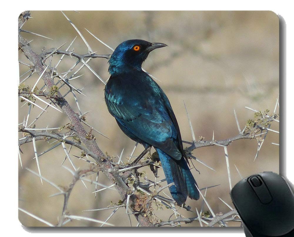 YENDOSTEEN Mouse Pad with Locking Edge,Great Heron Bird Florida Great Heron Wildlife Personalized Rectangle Gaming Mouse Pads