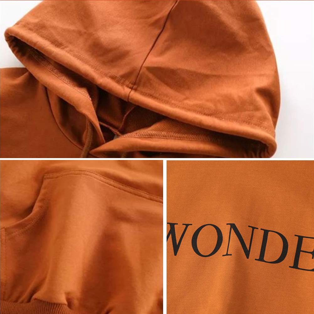 Chándal infantil para niña, chándal de 2 piezas, conjunto de ropa para el tiempo libre (sudadera + pantalones de sudadera) primavera y otoño, marrón, 116 cm