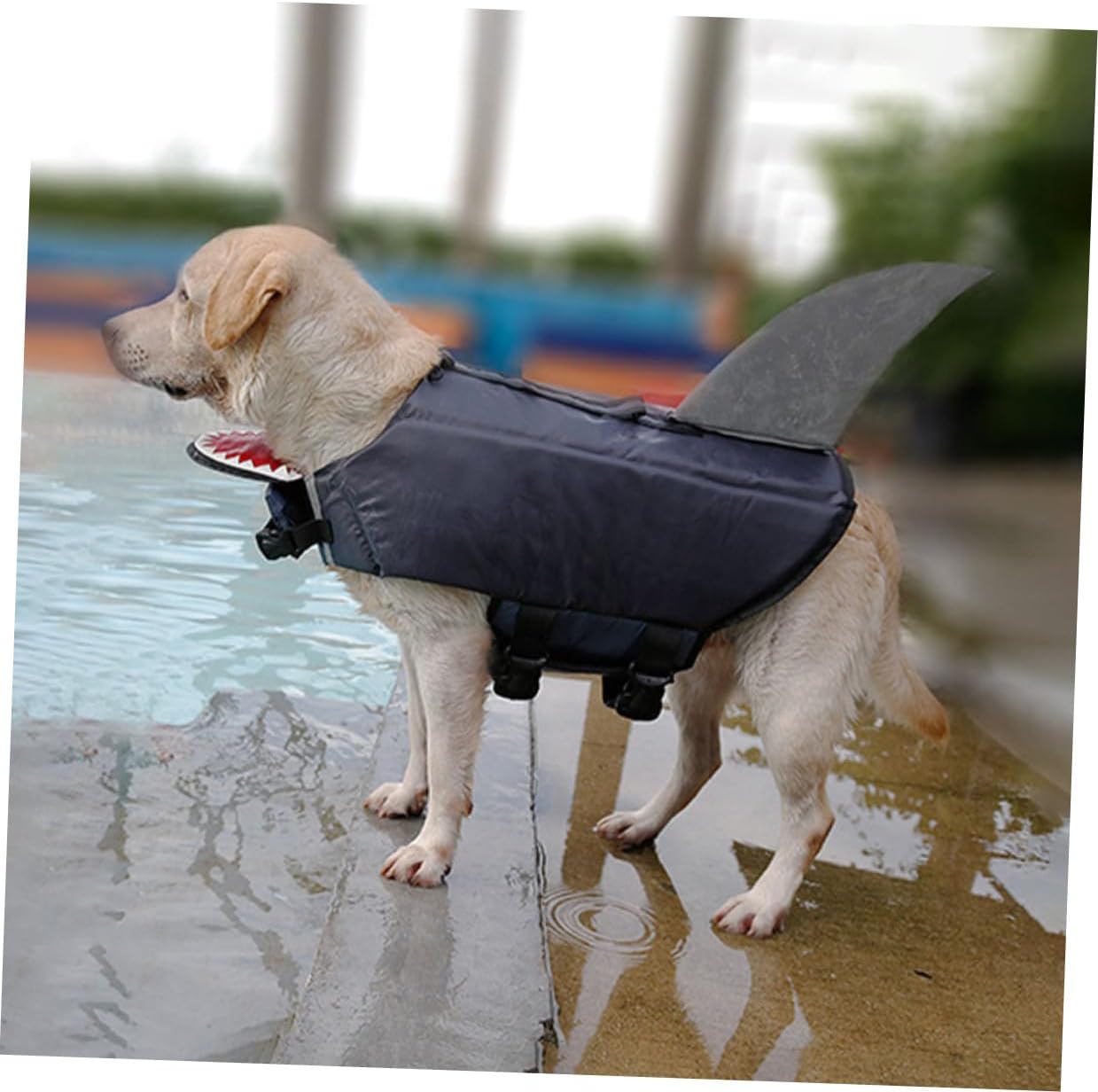 DOITOOL Dog Shark Swim Vest Floating Lifejacket Reflective Gray XL for Outdoor Water Safety and Training