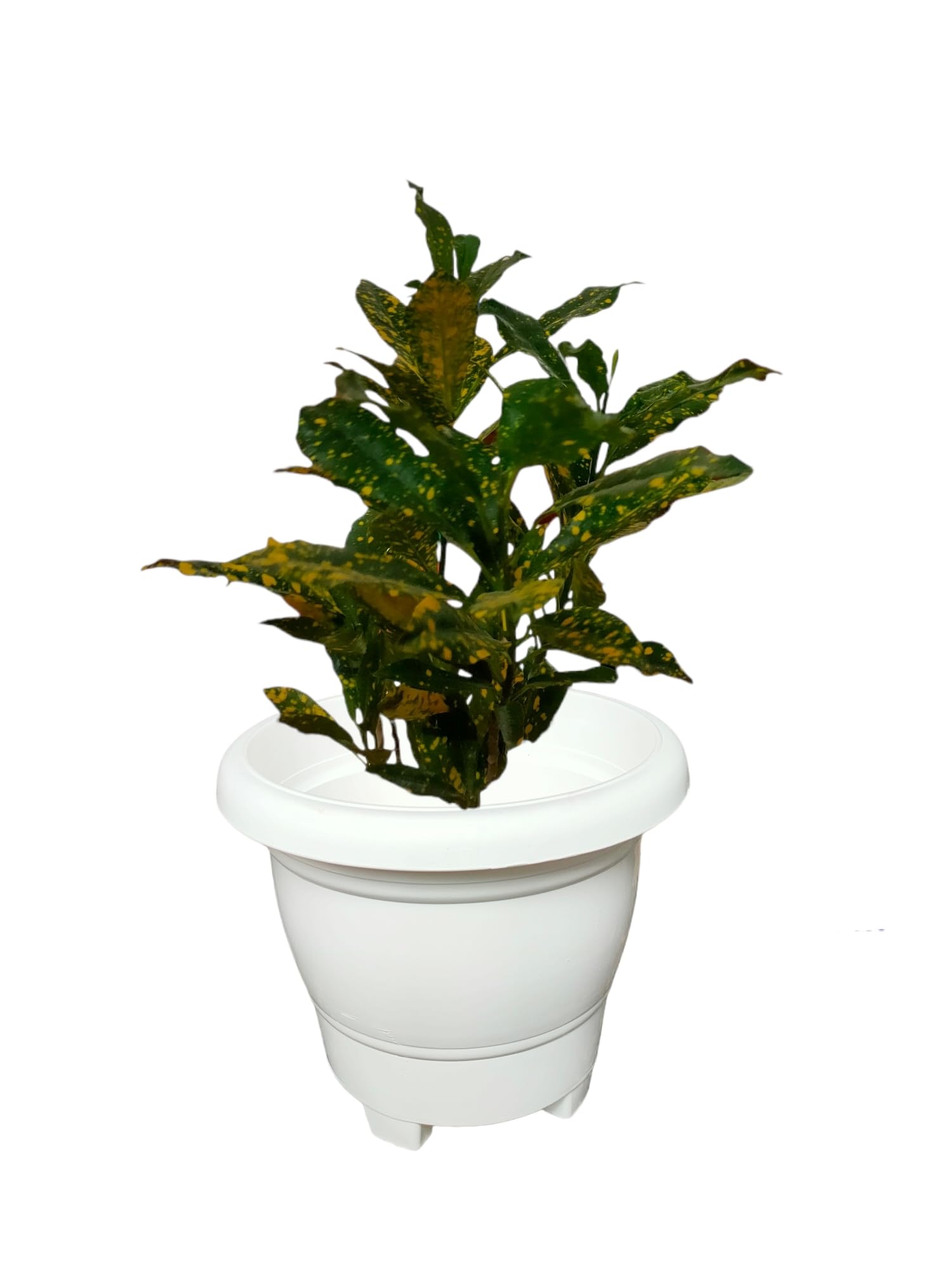 YK Plastics 10Inch Leg Pots(Pack of 6), Plastic Planters Flower Pot with Drainage Holes for All House Plants, Herbs, Flowers and Seeding Nursery (White)