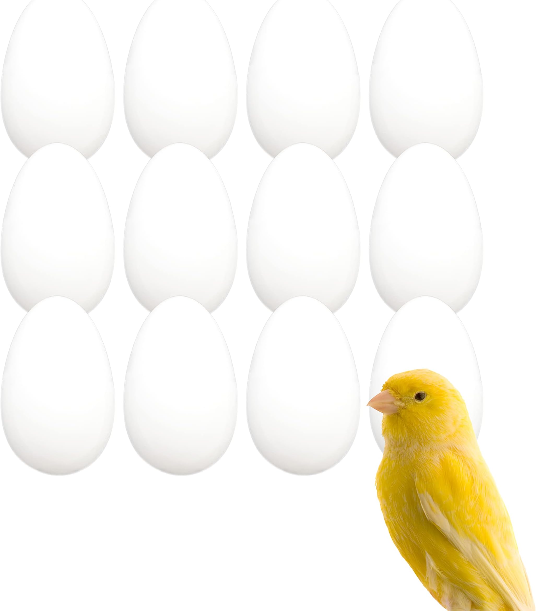 FINCA CASAREJOFake Egg Solid Canary Budgie
