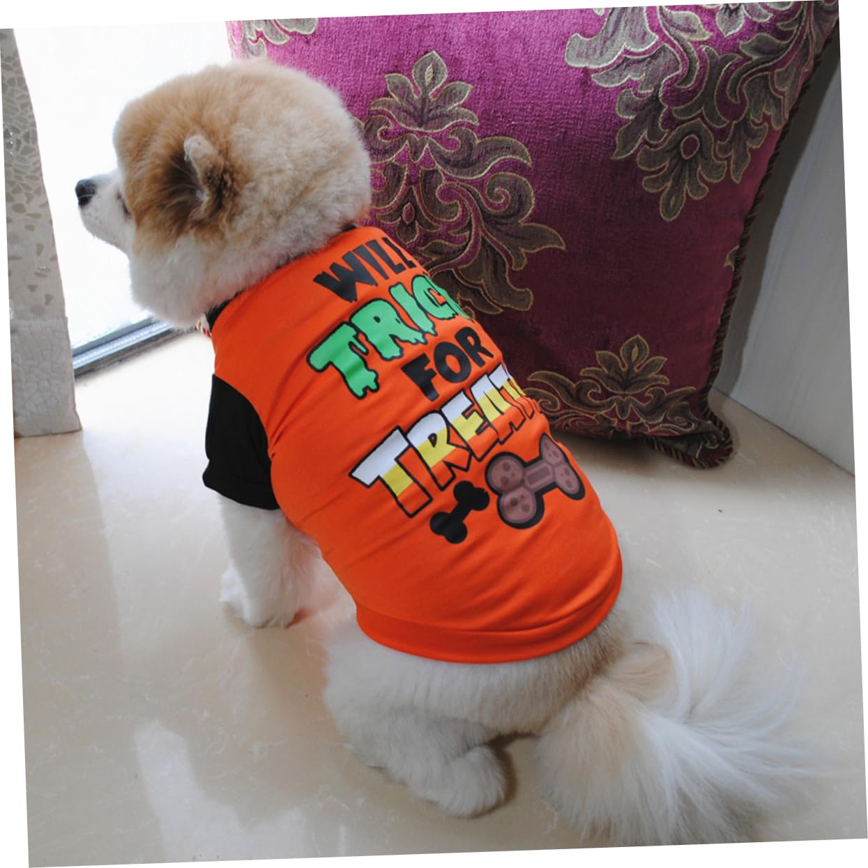 ABOOFAN 6 Pz t-shirt per cani da compagnia di Halloween costume da zucca per cani gilet per halloween cane vestiti costumi per rifornimento dell'animale domestico di Halloween