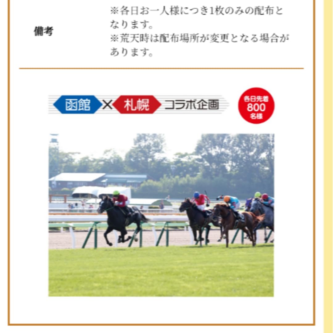 Amazon.co.jp: JRA函館競馬場 メモリアルレースカード 札幌競馬場 
