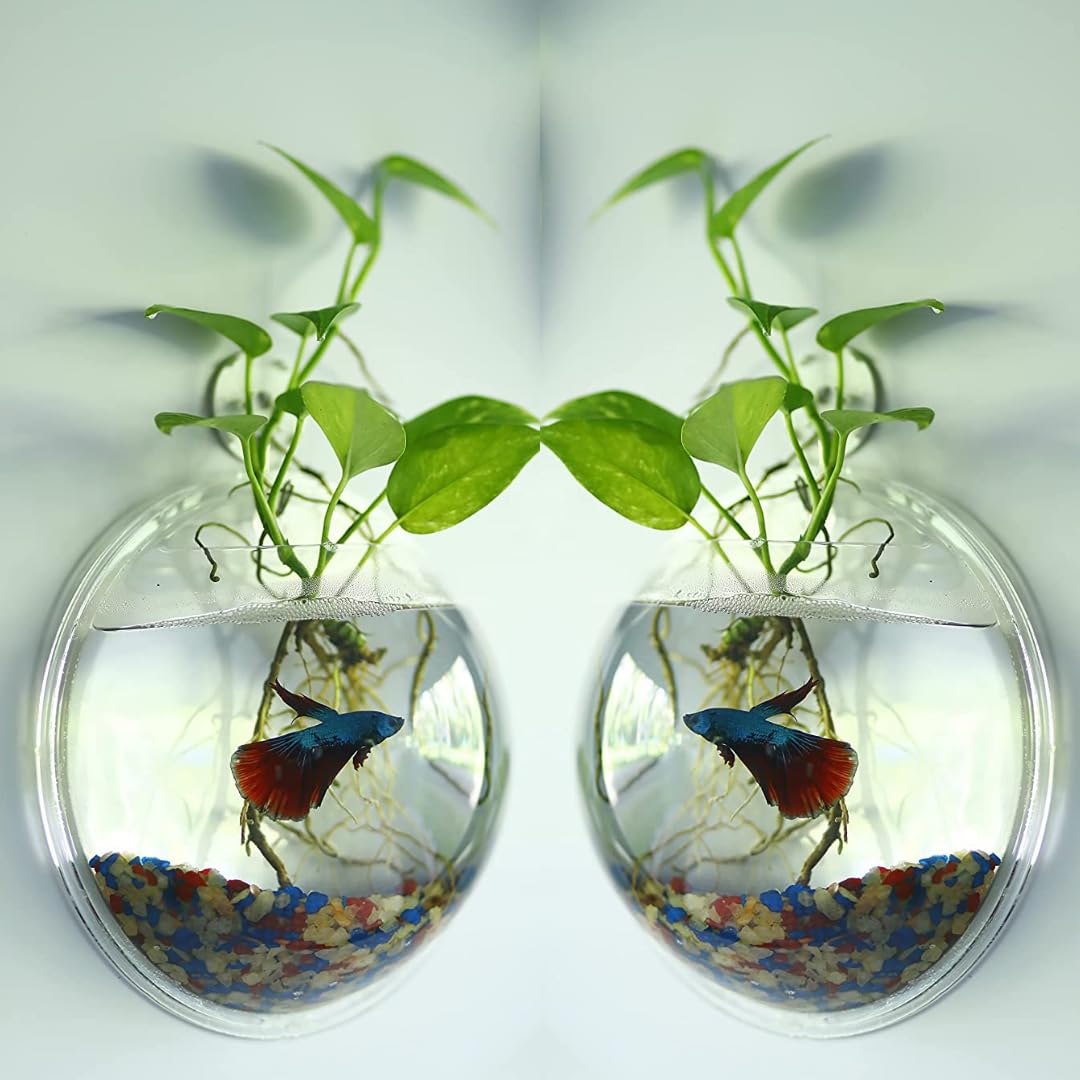 Premier Plants Wall Hanging Fish Bowl Acrylic White Colour with Free Color Stones (9 Inch Pack of 2) (B0CH137TZS) Amazon Price History, Amazon Price Tracker
