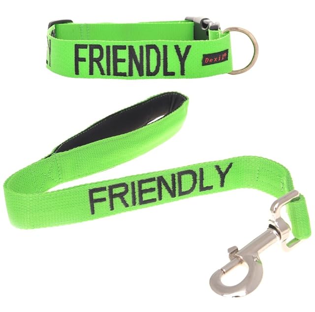 Collar con la palabra «Friendly» (amigable con todos) (tallas S-M o X-L) + correa con asa de neopreno…