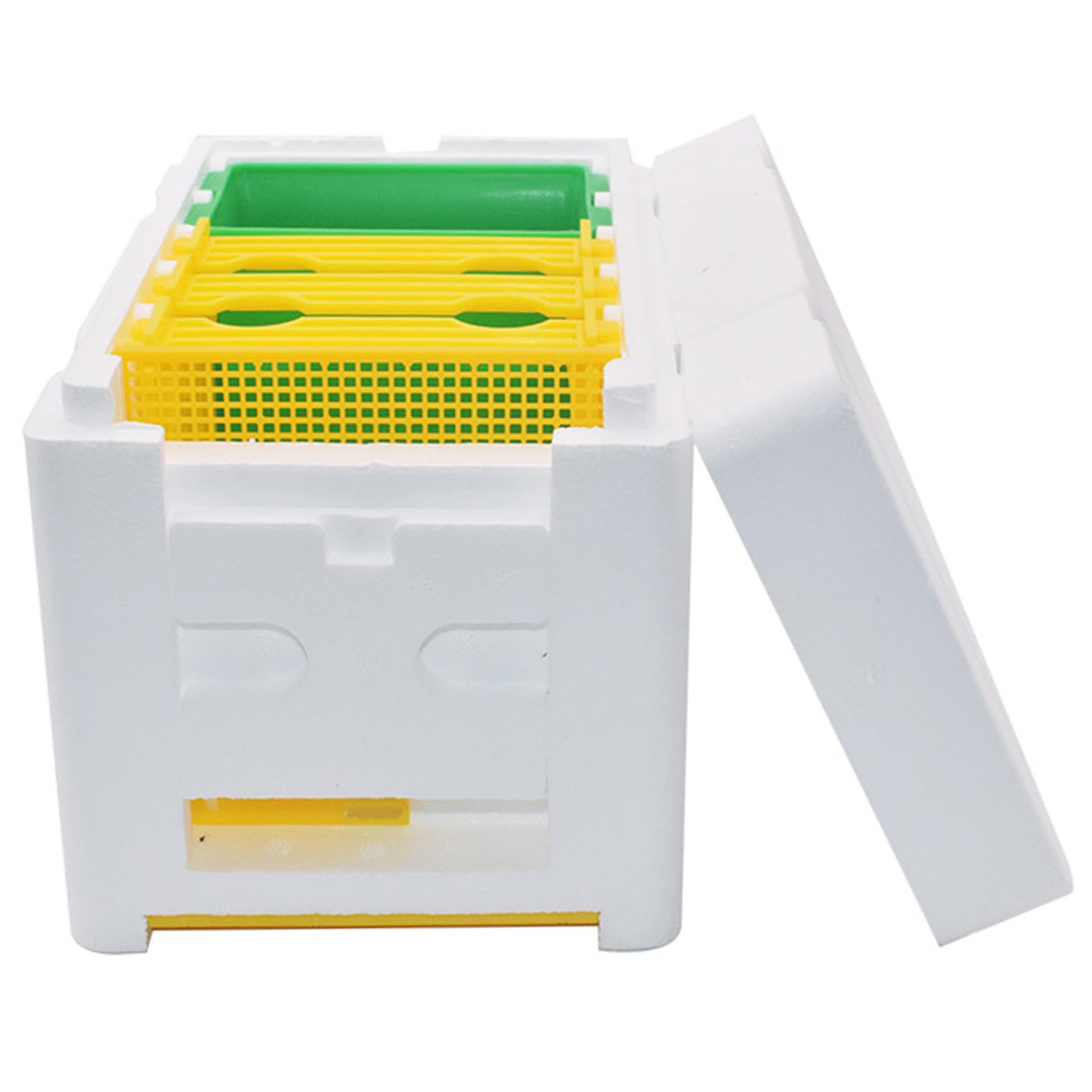 Cajas de Abejas con alimentador de Agua, Caja de Colmena de Abejas de 3 Cuadros con Puerta de cuadrícula, Caja de Bee Mini Caja de Espuma para Abejas, Suministros de Colmena de Abejas para el Ap