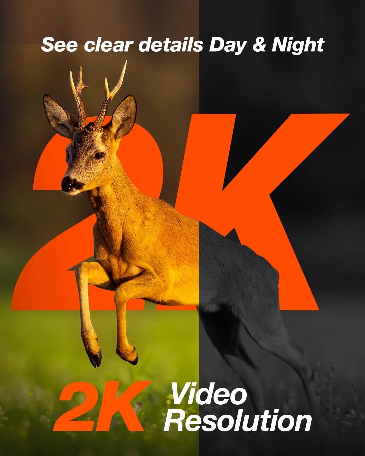 iZEEKER Kamera myśliwska 4G LTE Solarna, kamera myśliwska 2K PTZ z kartą SD i SIM, obrót o 360°, transmisja na żywo i zdalny dostęp, 940 nm bez blasku na podczerwień, aktywowana ruchem wodoodporny