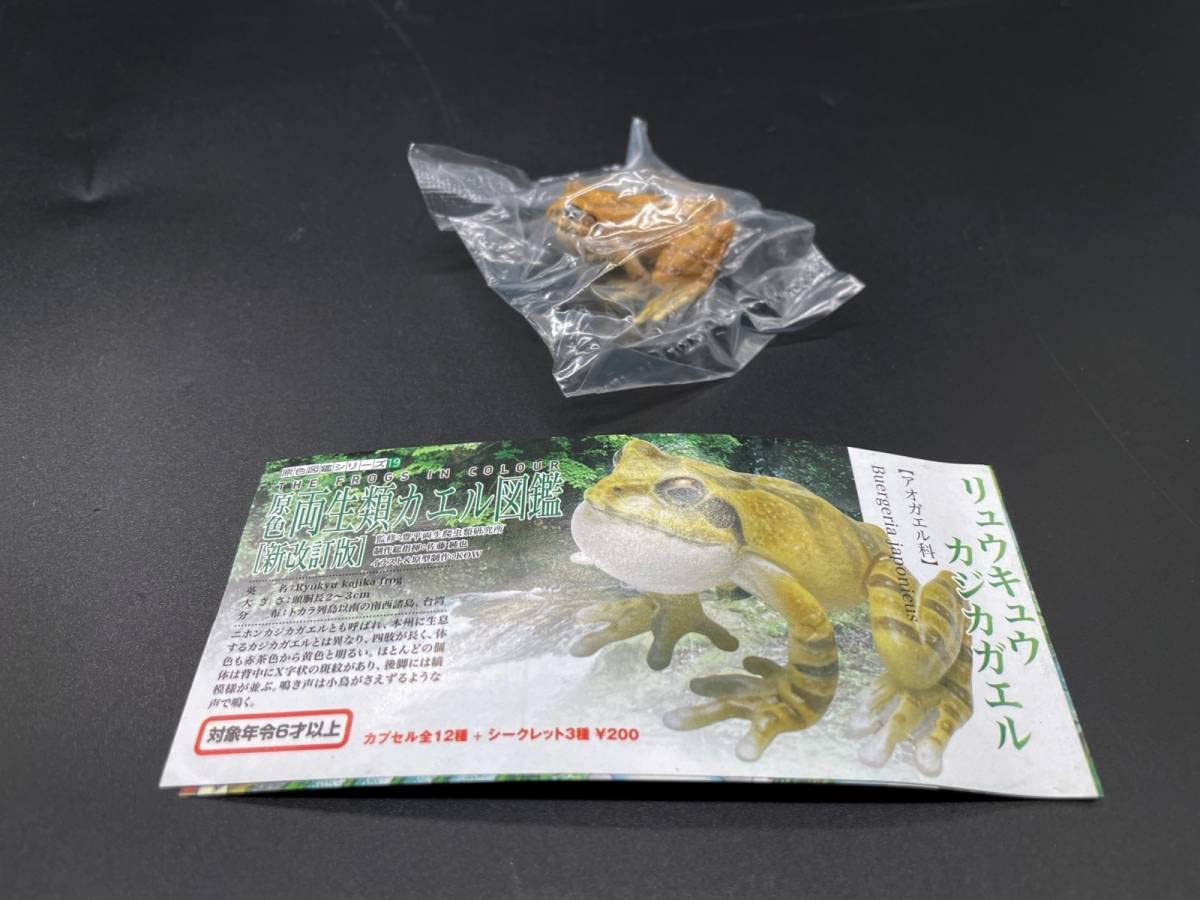 Amazon.co.jp: 〓ユージン〓原色両生類 カエル図鑑（新改訂版） リュ