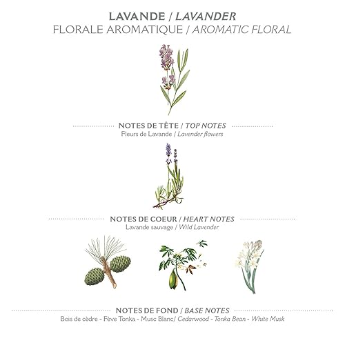 Miniatura 2 de Panier des Sens Repuesto de jabón líquido de manos de lavanda, jabón líquido de Marsella - Hecho en Francia 97% natural - 2 x 16.9 Floz16.9 fl oz