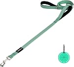 6FT Bungee Dog Leash – Shock Absorbing, Dual Handle with Traffic Control, Soft Padded Grip, Starlight Reflective for Comfort and Safe Daily Walks (Black)