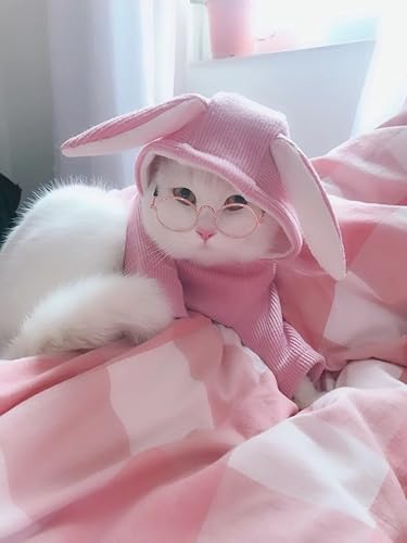 Miniatura 3 de Stock Show Lentes de sol para perros y gatos, marco retro redondo dorado trans, lente de resina, protección de moda para pequeñas mini mascotas,