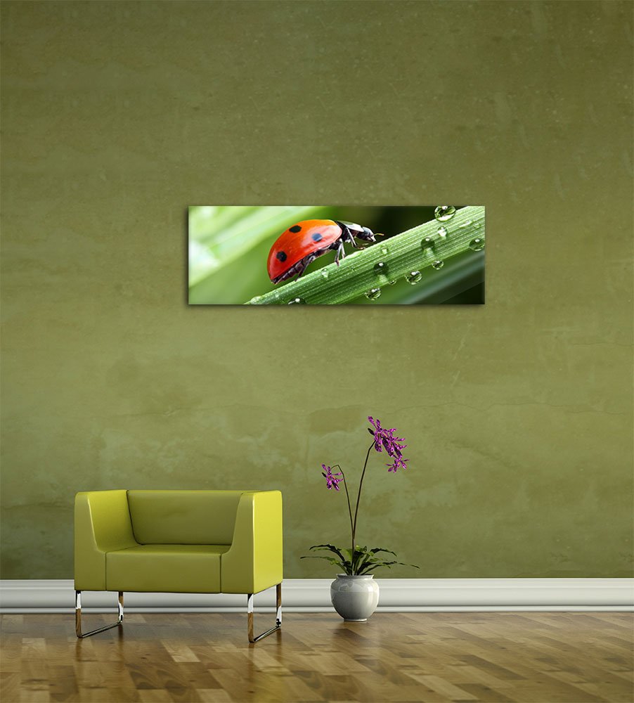 Bilderdepot24 Glasbild - Marienkäfer - 120 x 40 cm - Deko Glas - Wandbild aus Glas - Bild auf Glas - moderne Glasbilder - Glasfoto - Echtglas - kein Acryl - Handmade